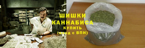 амф Богородицк