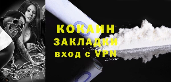 шишки Невельск