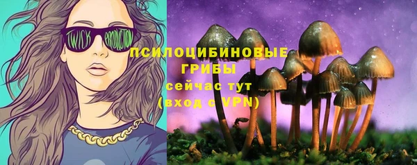 а пвп мука Богородск