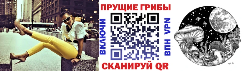 кракен вход  Онега  Галлюциногенные грибы Magic Shrooms 